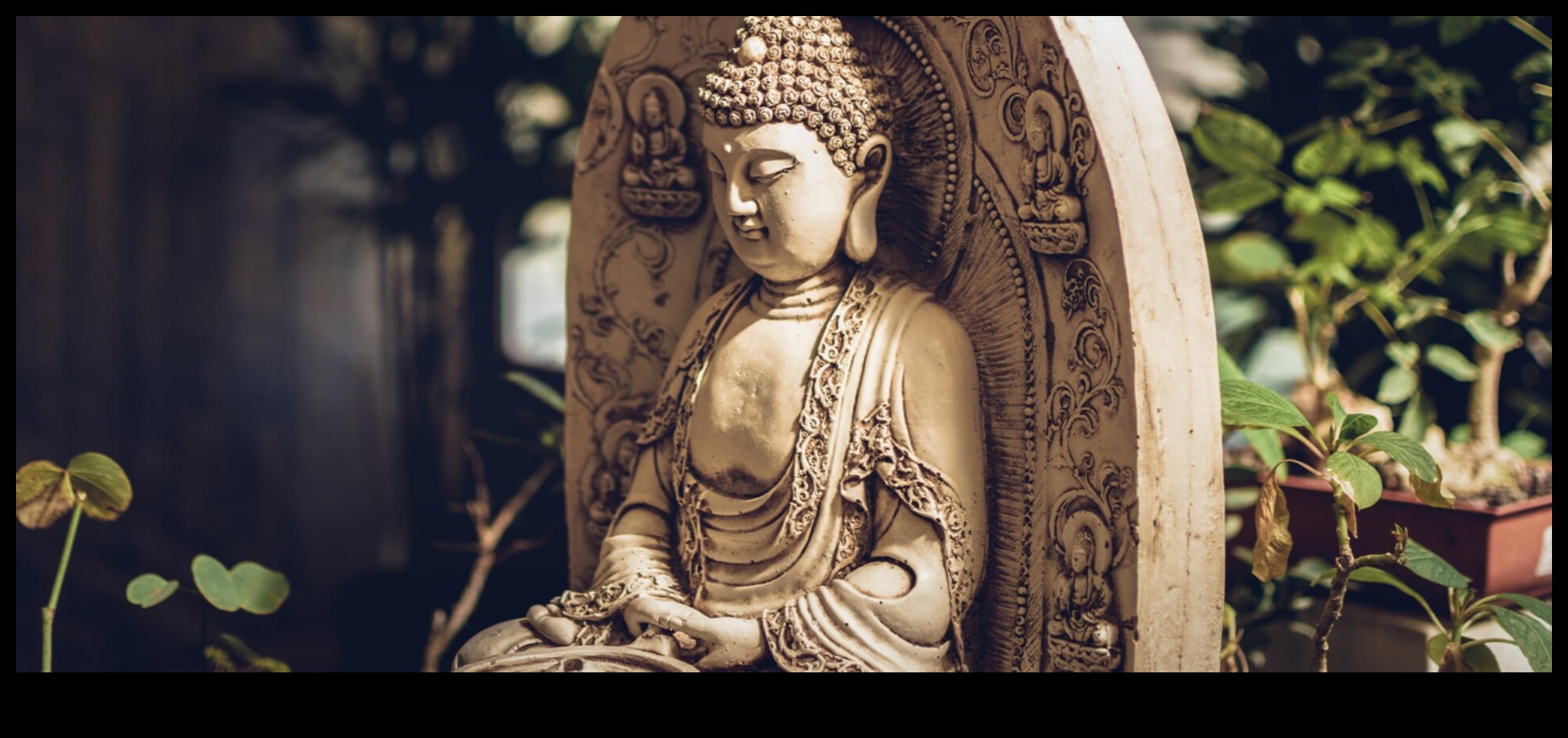 Laikam pārbaudīts miers: dziļa niršana meditācijas pagātnē