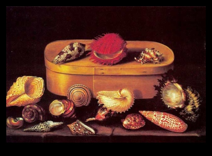 Atpūtas objekti: mierīgā klusās dabas pasaule