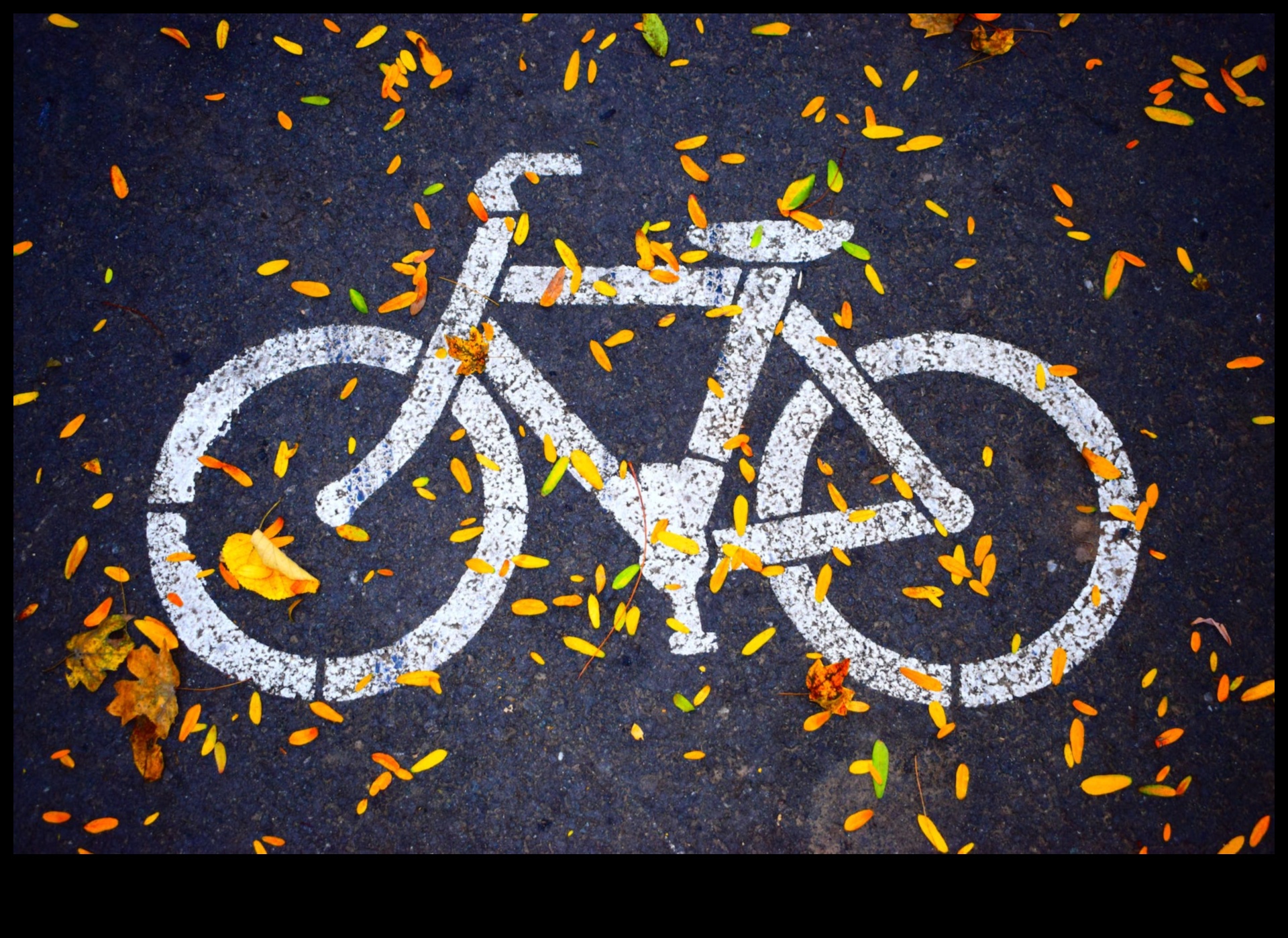 Velosipēds ārpus riteņbraukšanas nākotnes 4 Velosipēds tālāk: velosipēdu nākotnes izpēte