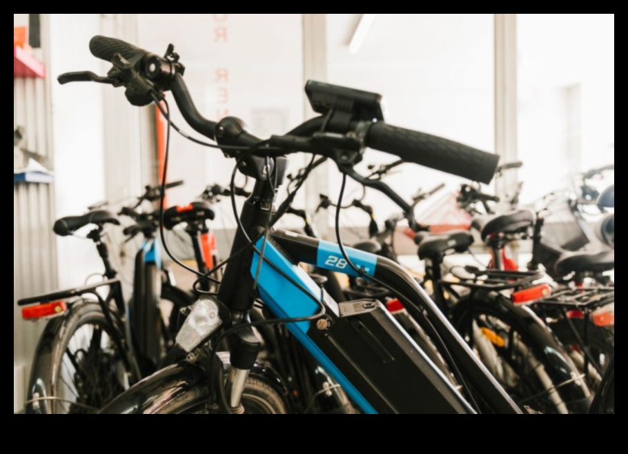 Velosipēds tālāk par riteņbraukšanas nākotni 3 Velosipēds tālāk: velosipēdu nākotnes izpēte