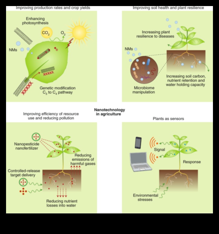 Nano dizaina ceļvedis precīziem risinājumiem 4 Ietekmīgu nanodizainu izveide: profesionāļa rokasgrāmata precīziem risinājumiem