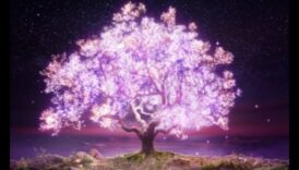 Izgaismojiet savu pasauli izmantojot gaišām ainām 2 Caurspīdības māksla: gaismas ainu veidošana