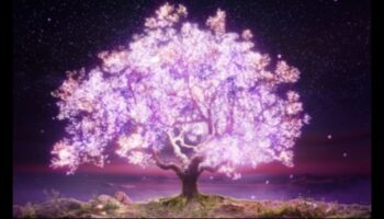 Caurspīdības māksla: gaismas ainu veidošana