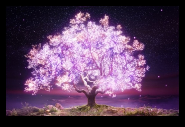 Izgaismojiet savu pasauli ar gaismas ainām 1 Caurspīdības māksla: gaismas ainu veidošana