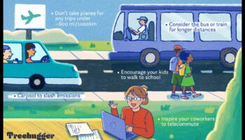 Videi draudzīgi pētījumi: sabiedriskais transports kā zaļā izvēle