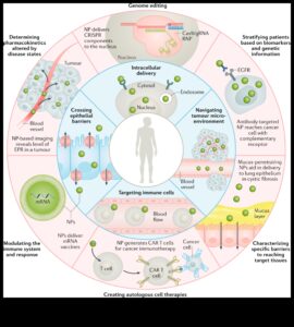 Ietekmīgu nanodizainu izveide: profesionāļa rokasgrāmata precīziem risinājumiem
