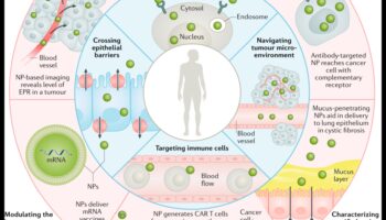 Ietekmīgu nanodizainu izveide: profesionāļa rokasgrāmata precīziem risinājumiem