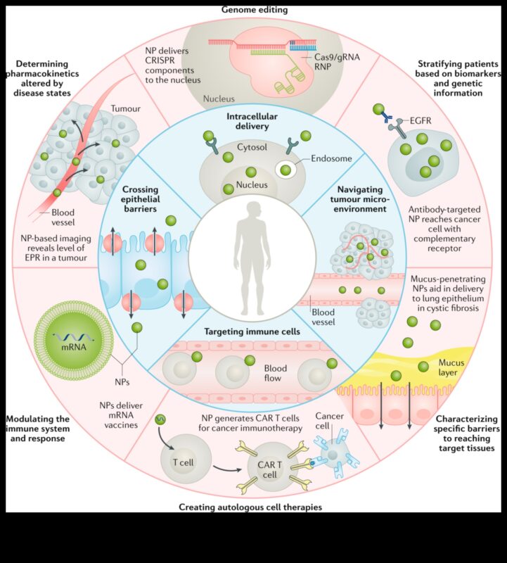 Ietekmīgu nanodizainu izveide: profesionāļa rokasgrāmata precīziem risinājumiem