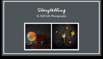 Objektu valoda: klusās dabas stāsti